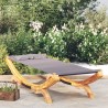 Lit de repos extérieur 100x188,5x44 cm Bois courbé Anthracite 
