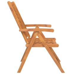 Chaises de jardin inclinables lot de 2 bois massif d'acacia 