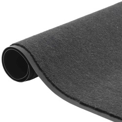 Paillasson anthracite 40x60 cm 