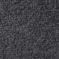 Paillasson anthracite 40x60 cm 