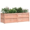 Jardinière 150x50x50 cm bois massif douglas 