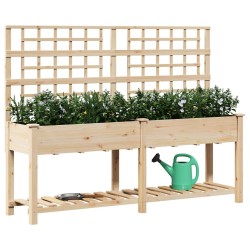 Jardinière avec treillis et étagère 203x53x152 cm en bois massif de sapin 