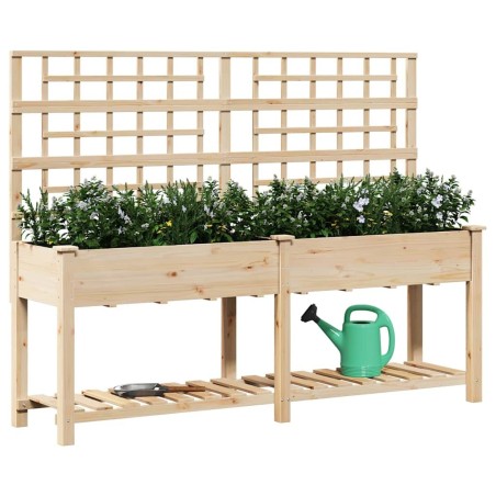 Jardinière avec treillis et étagère 203x53x152 cm en bois massif de sapin 