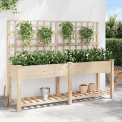 Jardinière avec treillis et étagère 203x53x152 cm en bois massif de sapin 
