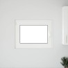 Fenêtre de sous-sol« RISOR » 80 x 70 cm oscillo-battante DIN gauche anthracite 