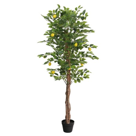 Citronnier artificiel avec 3 troncs vert 180 cm PP 