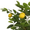 Citronnier artificiel avec 3 troncs vert 180 cm PP 