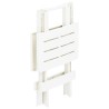 Table pliable de jardin blanc 45x43x50 cm plastique  