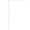 Paroi de douche Argenté 100x195 cm Verre ESG transparent 