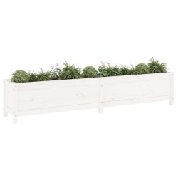 Lit surélevé de jardin blanc 199,5x40x39 cm bois de pin massif 