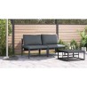Ensembles de meubles d'extérieur avec coussin avec oreiller 2 pcs Anthracite 