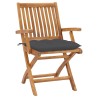 Chaises de jardin lot de 2 et coussins anthracite Bois de teck 