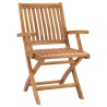 Chaises de jardin lot de 2 et coussins anthracite Bois de teck 