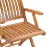 Chaises de jardin lot de 2 et coussins anthracite Bois de teck 