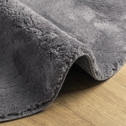 Tapis HUARTE à poils courts doux et lavable anthracite Ø 100 cm 