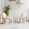 Ensemble de salle à manger pour jardin avec oreiller 3 pcs 