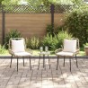 Ensemble de salle à manger pour jardin avec oreiller 3 pcs 