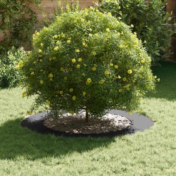Pot en plastique Anthracite Plastique Grand 