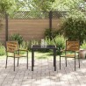 Chaises de jardin empilables - Lot de 2, poly rattan noir 