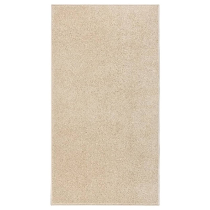 Tapis à poils courts 80x150 cm Beige 