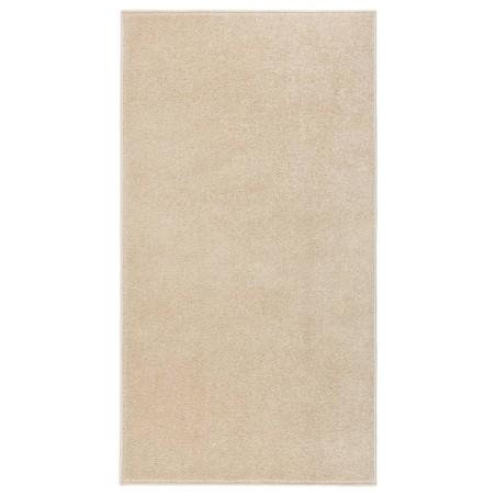 Tapis à poils courts 80x150 cm Beige 