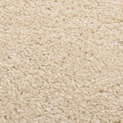 Tapis à poils courts 80x150 cm Beige 