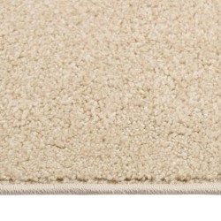 Tapis à poils courts 80x150 cm Beige 