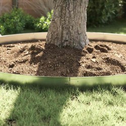 Bordures de jardin 10 pcs 14x100 cm en acier galvanisé flexible 