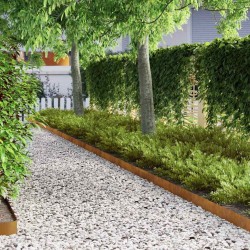 Bordure de jardin Rouillé 450 x 10 cm 