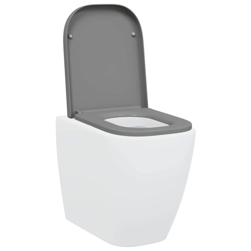 Siège de toilette à libération rapide avec fermeture douce en duraplast gris 