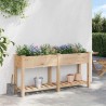 Jardinière avec Grilles 161x43x76 cm Bois Massif de Sapin 