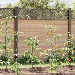 Supports de plantes en spirale 20 pcs Acier galvanisé 110 cm 