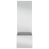 Jardinier avec Panneau Décoratif Argent 50 x 140 cm 