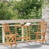 Ensemble de Bistro de Jardin Pliant 3 Pièces en Bois Acacia de 