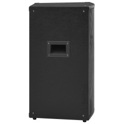 Haut-parleur scène Hifi passif professionnel 1000W 37x37x64 cm 