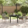 Chaises de jardin 2 pcs avec coussins gris en poly rattan 