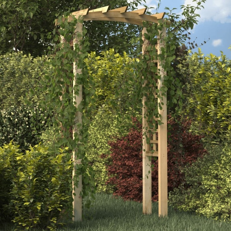 Arche en treillis 110x60x210 cm Bois de pin massif imprégné Arche en treillis 110x60x210 cm Bois de pin massif imprégné