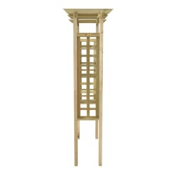 Arche en treillis 110x60x210 cm Bois de pin massif imprégné 