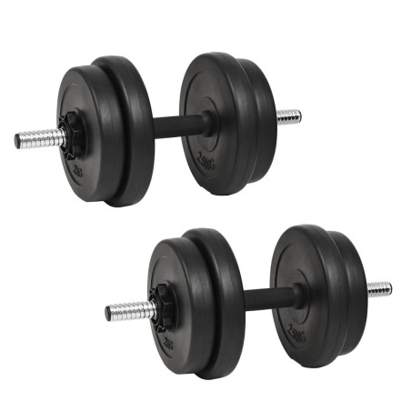 Haltère avec plaques 40 kg 