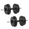 Haltère avec plaques 40 kg 