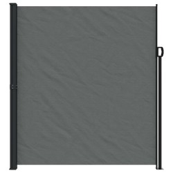 Auvent latéral rétractable anthracite 220x500 cm 