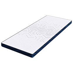 Coussins de Matelas Blanc et Bleu 70 x 200 cm 