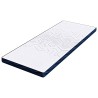 Coussins de Matelas Blanc et Bleu 70 x 200 cm 
