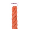 Corde de travail Orange 20 mm 100 m Polypropylène 