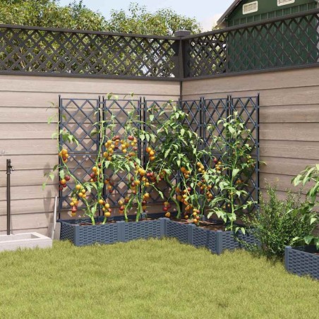 Jardinière avec Treillis 5 pcs Gris clair 120x120x125.5 cm 