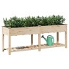 Jardinière avec étagère 203x53x76 cm en bois massif de sapin 