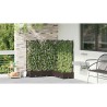 Jardinière avec treillis 5 pcs Marron 120x120x125,5 cm 
