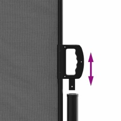 Auvent latéral rétractable anthracite 200x500 cm 