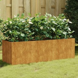 Lit surélevé de jardin 120x40x40 cm acier corten 