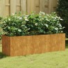 Lit surélevé de jardin 120x40x40 cm acier corten 